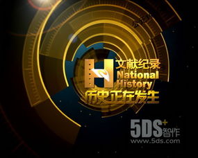 5DS 連接創意與技術的數字藝術領航者